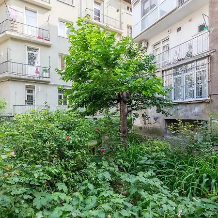 Appartement Center Cave *